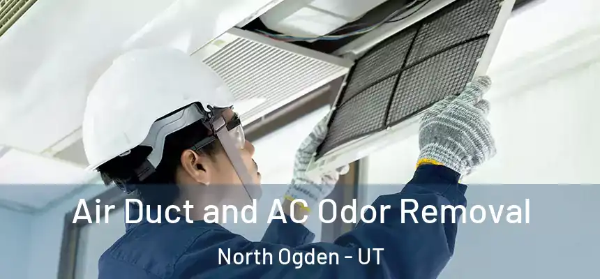 Air Duct and AC Odor Removal North Ogden - UT