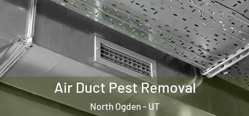 Air Duct Pest Removal North Ogden - UT