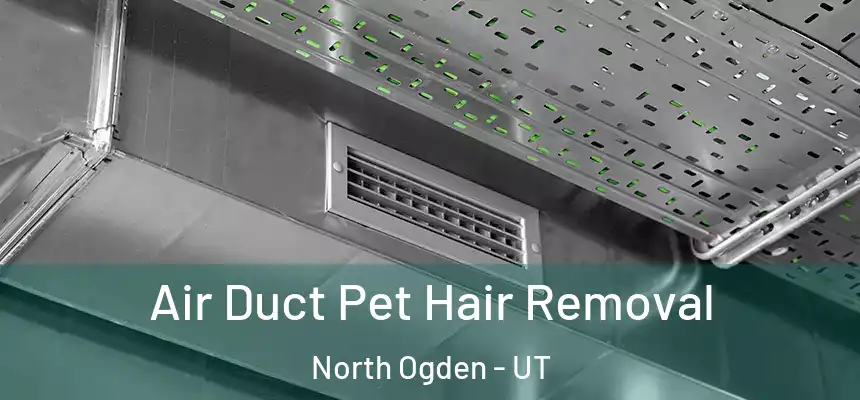 Air Duct Pet Hair Removal North Ogden - UT