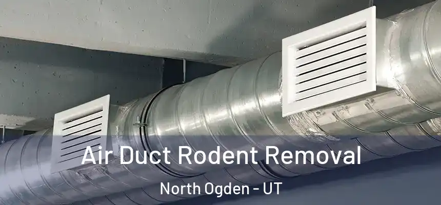  Air Duct Rodent Removal North Ogden - UT