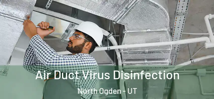 Air Duct Virus Disinfection North Ogden - UT
