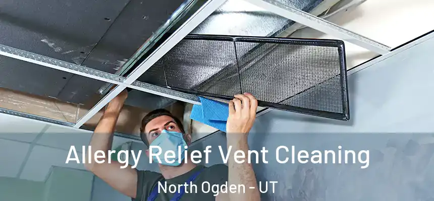  Allergy Relief Vent Cleaning North Ogden - UT