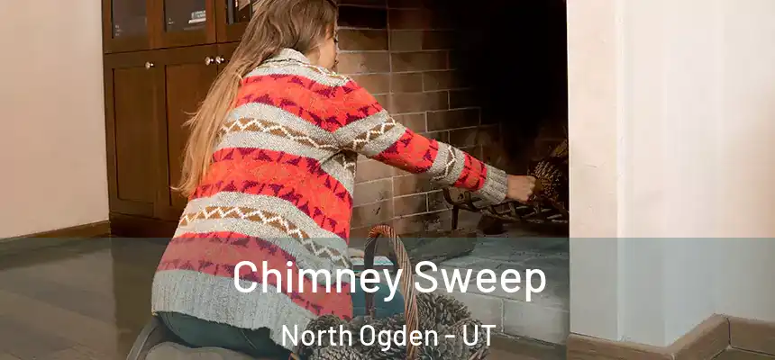  Chimney Sweep North Ogden - UT
