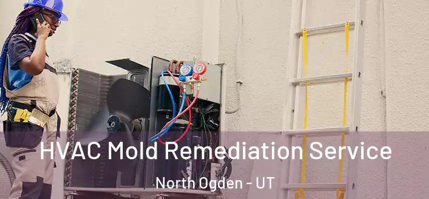  HVAC Mold Remediation Service North Ogden - UT