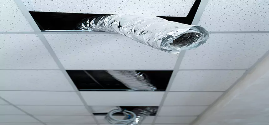 Affordable HVAC Sanitizing After Pest Removal in North Ogden