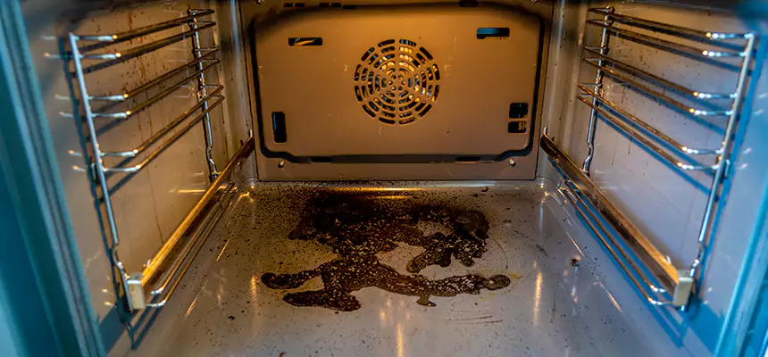 Our Dryer Vent Mold Cleaning Services in North Ogden, UT