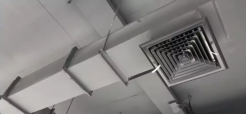 Our Rodent Droppings In Vents Services in North Ogden, UT