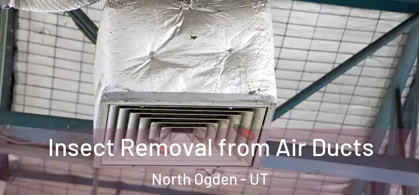  Insect Removal from Air Ducts North Ogden - UT