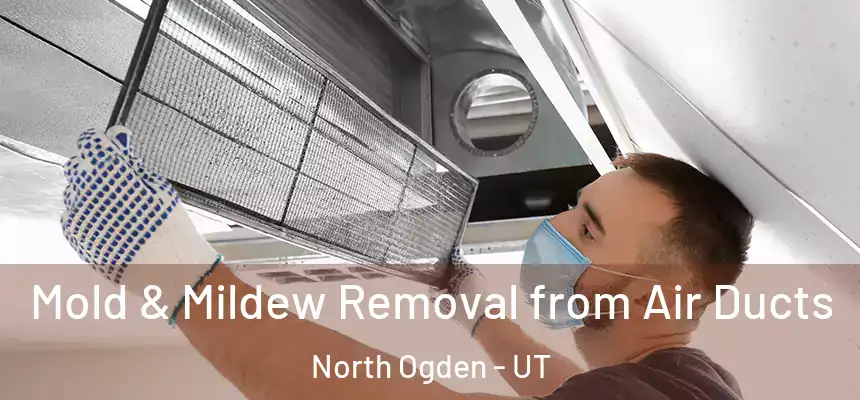  Mold & Mildew Removal from Air Ducts North Ogden - UT