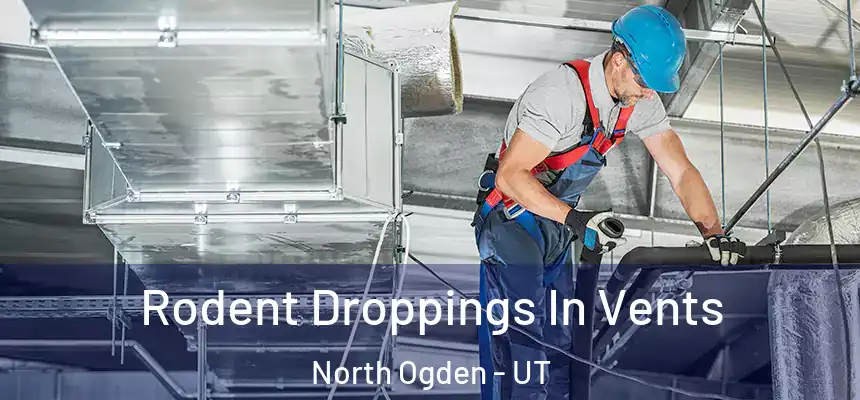  Rodent Droppings In Vents North Ogden - UT