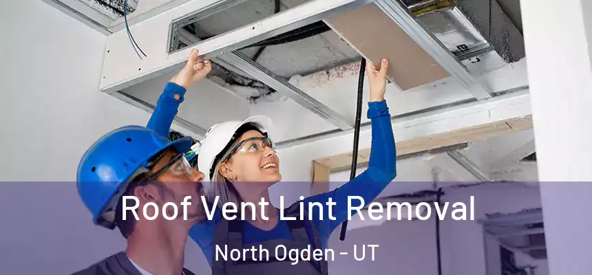  Roof Vent Lint Removal North Ogden - UT
