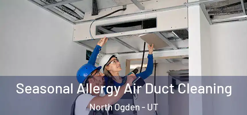 Seasonal Allergy Air Duct Cleaning North Ogden - UT