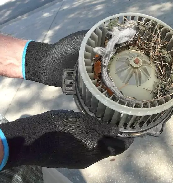 About Air Duct Mice Removal in North Ogden, UT