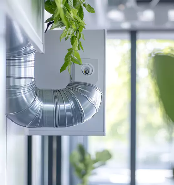 Professional Eco-Safe Dryer Vent Cleaning in North Ogden, UT