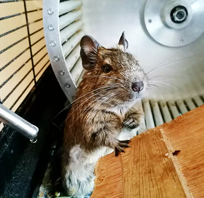 Why Homeowners & Businesses Trust Us North Ogden, UT