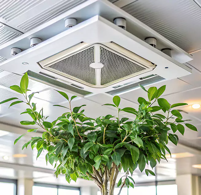 Why Homeowners & Businesses Trust Us in North Ogden, UT